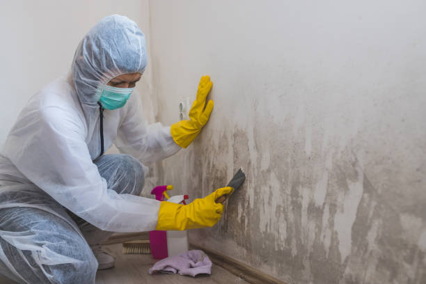 Best Mold Testing  in Honaunau Napoopoo, HI
