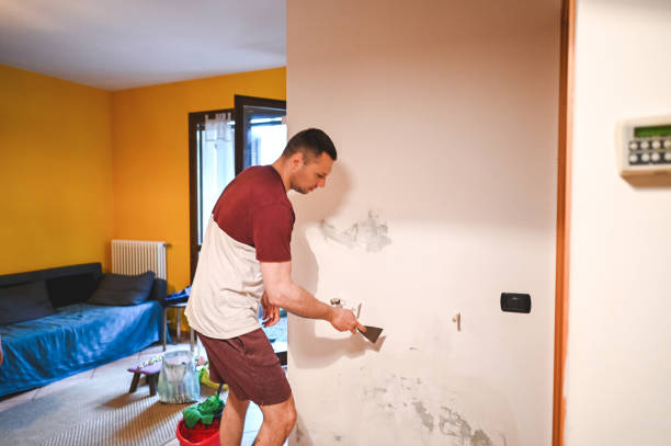 Best Toxic Mold Removal  in Honaunau Napoopoo, HI
