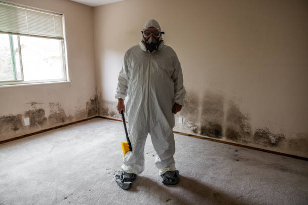 Best Certified Mold Removal  in Honaunau Napoopoo, HI